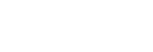 Chees Skateboard School